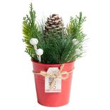 Décoration branche de pin dans pot rouge Ø8xH10cm