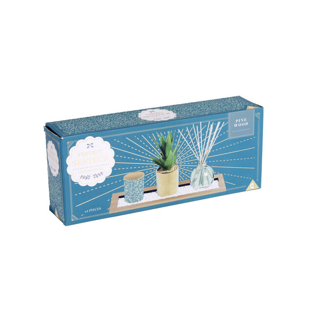 Coffret senteur bougie/plateau/diffuseur/plante artificielle