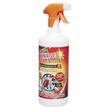 Insecticide anti punaise