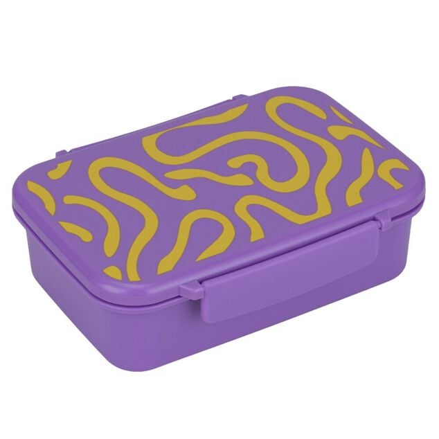 Lunch box plastique 800ml avec s&eacute;parateur lignes ondul&eacute;es 13x18xH6cm (2 mod&egrave;les)