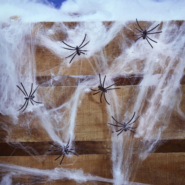 Toile d'araign&eacute;e blanche avec 6 araign&eacute;es Halloween