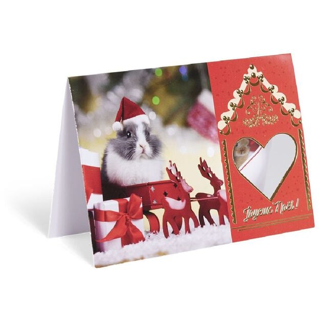 Carte de voeux No&euml;l 12x17cm