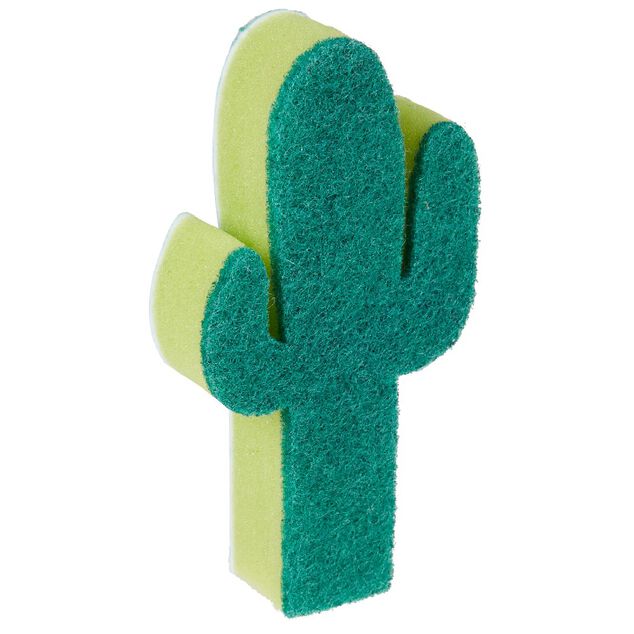 &Eacute;ponge cactus