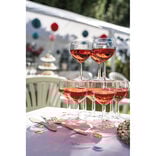 Verre ballon transparent 19cl x10