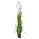 Plante artificielle XL verte tiges plumeaux blancs &Oslash;33xH160cm