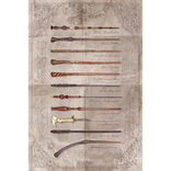 Poster Harry Potter - The Wand Chooses The Wizard