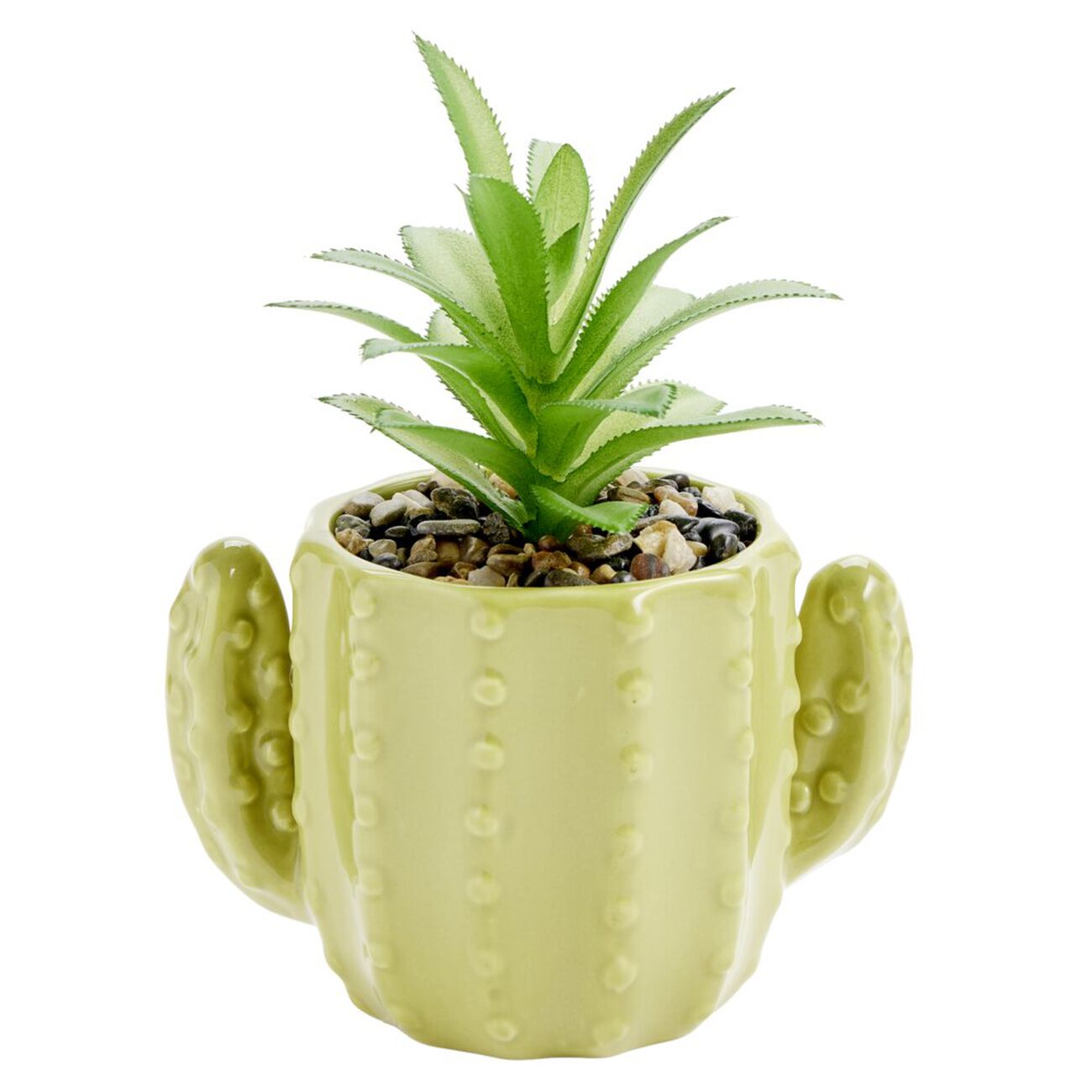 Pegasus pg6508 – Petites Cactus Plastique modèle Kit, 8–32 mm Pegasus pg6508 – Petites Cactus Plastique modèle Kit, 8–32 mm