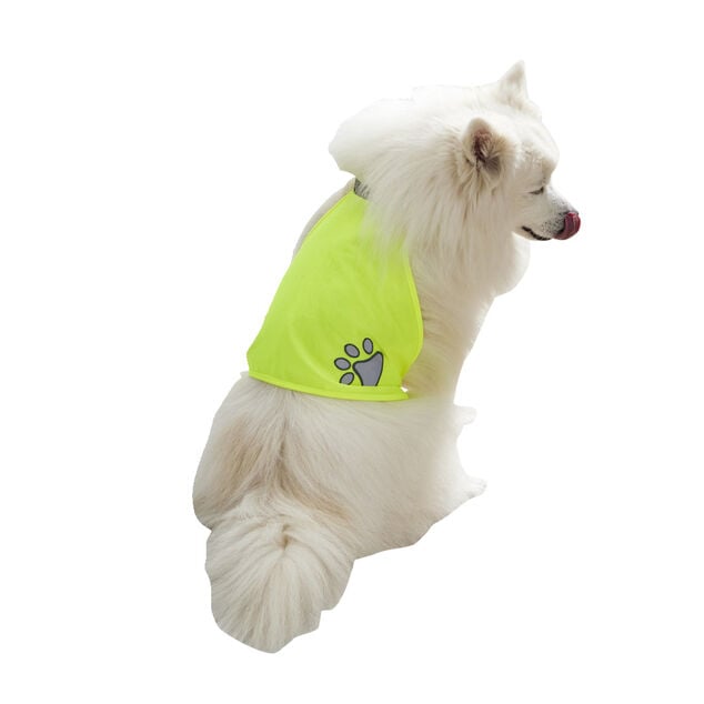 Gilet de s&eacute;curit&eacute; pour chien r&eacute;fl&eacute;chissant Taille M