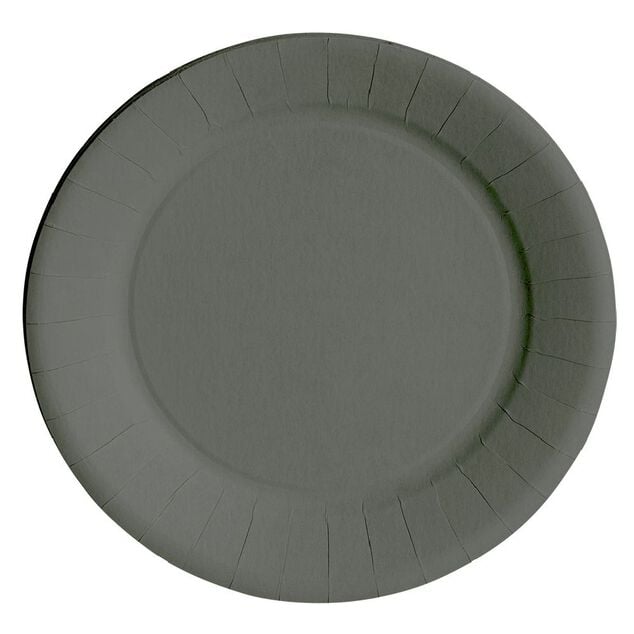 Lot de 10 assiettes en carton gris Ø23 cm