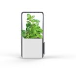 Potager intérieur clipsable avec kit de démarrage