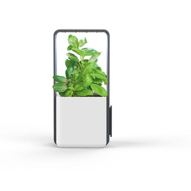 Potager int&eacute;rieur clipsable avec kit de d&eacute;marrage