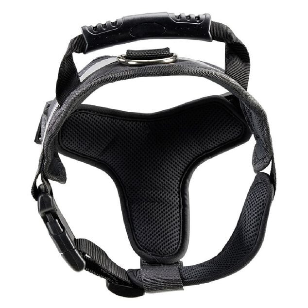 Harnais noir pour chien L69cm taille M