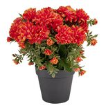 Fleur artificielle chrysanth&egrave;me orange &Oslash;30xH22cm