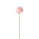 Fleur artificielle 1 tige allium rose H72cm