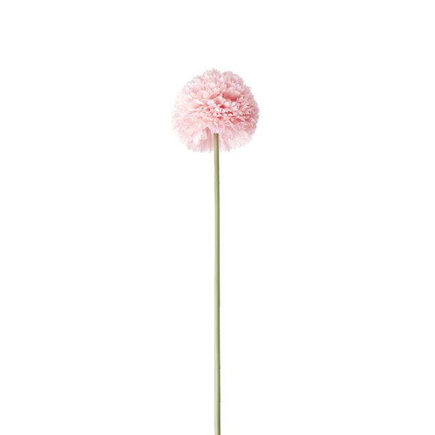 Fleur artificielle 1 tige allium rose H72cm