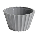 Coupelle polypropylène Ø10cm - 4 coloris