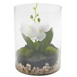 Vase en verre terrarium avec orchid&eacute;e artificielle &Oslash;15xH20cm (2 mod&egrave;les)