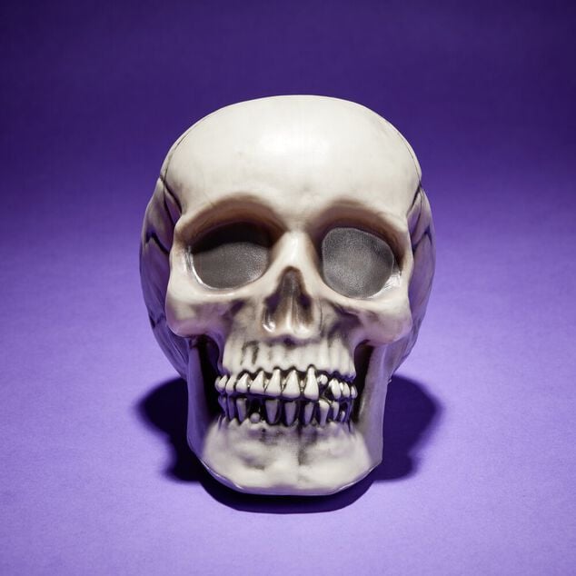 Cr&acirc;ne d&eacute;coration Halloween 19x15xH16cm