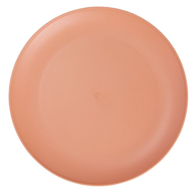 Assiette plate ronde plastique &Oslash;23,5cm (3 mod&egrave;les)