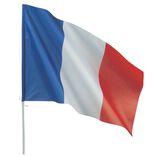 Drapeau France tricolore 100x90 cm