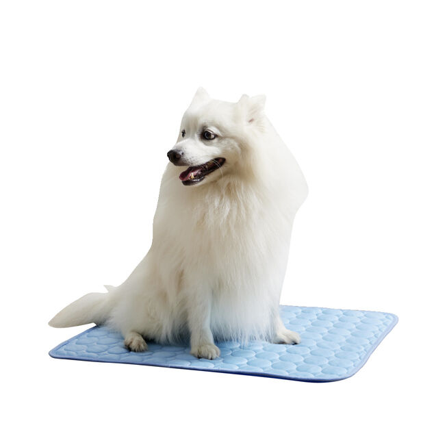 Tapis rafraîchissant pour chien 45x60cm
