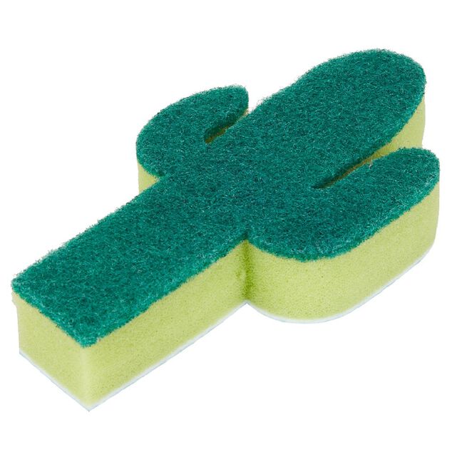 &Eacute;ponge cactus