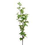 Feuillage artificiel vert 1 tige 30 feuilles L86cm