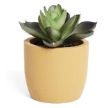 Plante artificielle dans pot en pierre - 4 mod&egrave;les