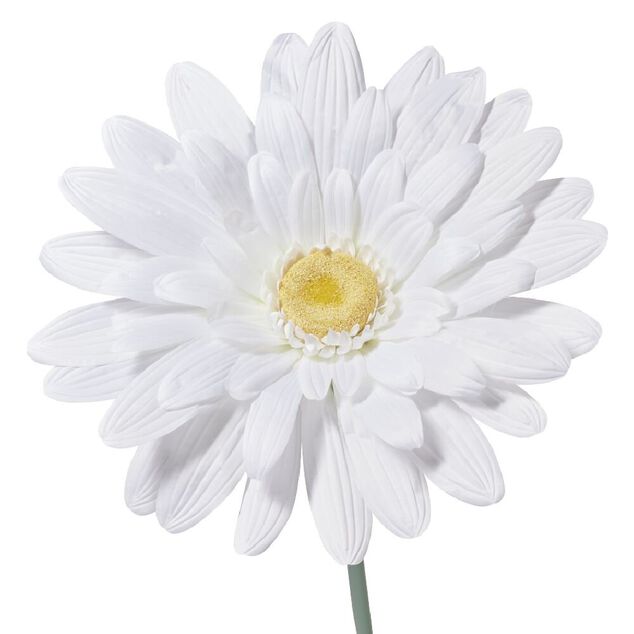 Fleur artificielle blanche marguerite tige XXL H150cm