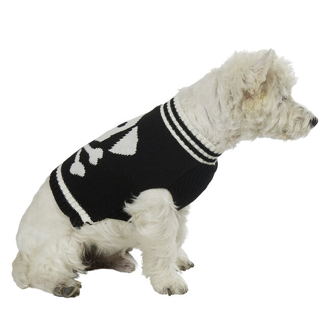 Pull motif t&ecirc;te de mort d&eacute;guisement Halloween pour chien Taille M