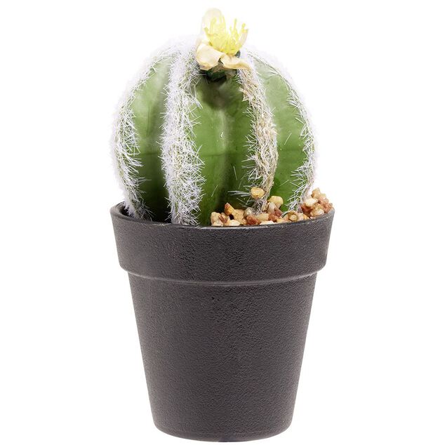 Cactus boule fleur artificiel vert et blanc &Oslash;7,5xH15cm