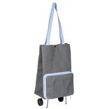Sac cabas fra&icirc;cheur 20L