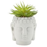 Tête Bouddha avec plante