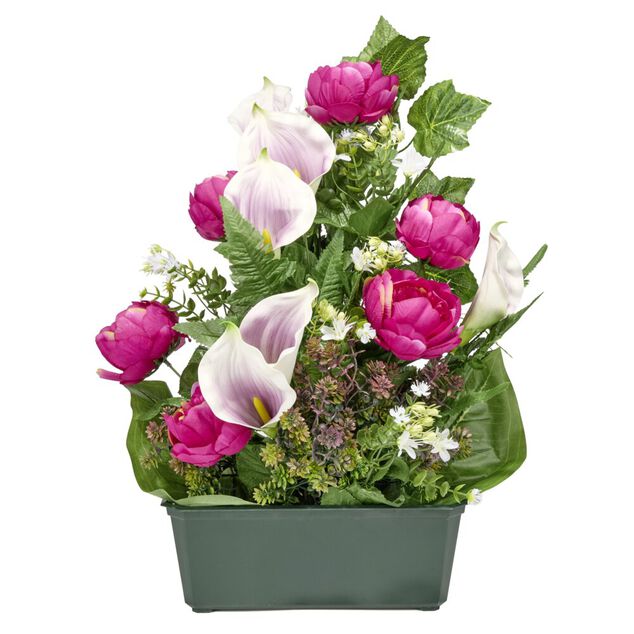 Composition florale jardini&egrave;re pivoines arums buis lierre 50x10xH64cm (3 mod&egrave;les)