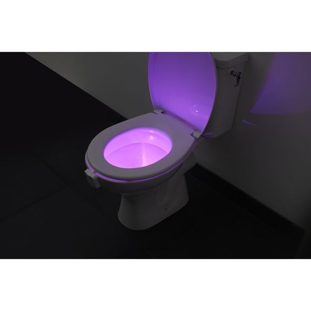 Lumi&egrave;re LED pour WC