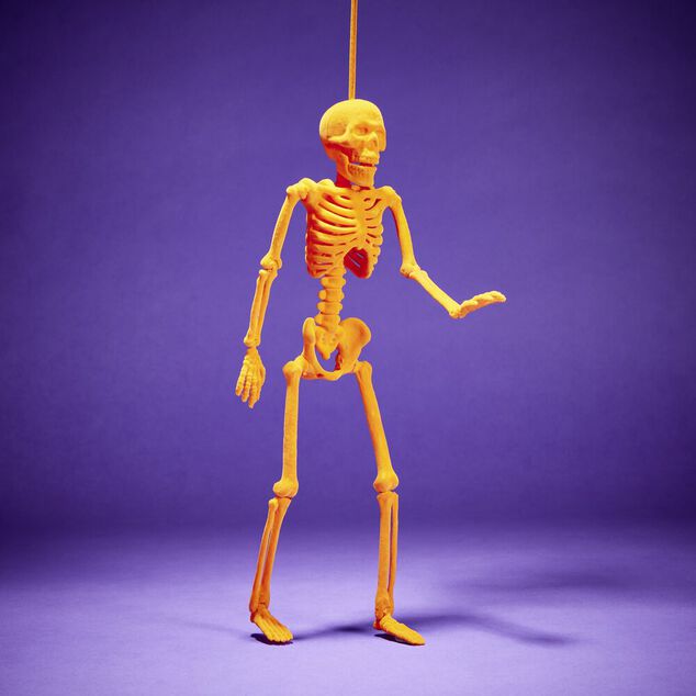 Squelette &agrave; suspendre Halloween H40cm