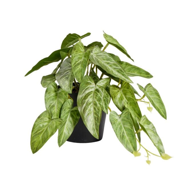 Plante verte artificielle pot noir H17cm - 2 mod&egrave;les