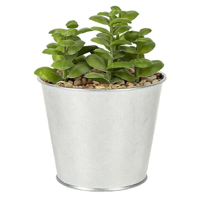 Plante grasse artificelle pot en zinc