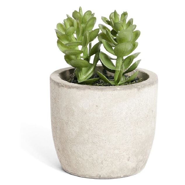 Plante artificielle dans pot en pierre - 4 mod&egrave;les