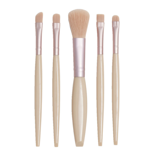 Kit de 5 pinceaux &agrave; maquillage dans bo&icirc;te avec miroir 7x13,5cm
