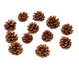 Pomme de pin naturel d&eacute;coration