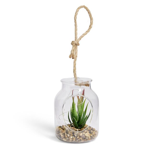 Pot en verre LED avec plante grasse artificielle &Oslash;11,5xH15,5cm