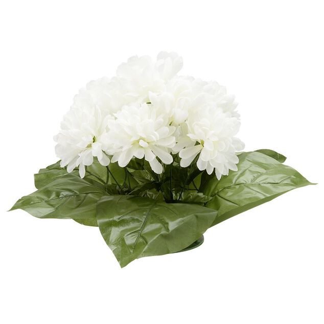 Coussin chrysanth&egrave;me artificiel 15 t&ecirc;tes blanc