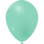 Ballon de baudruche uni vert menthe x20