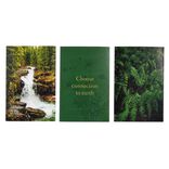 Lot de 3 affiches nature papier vert et noir 10x15cm