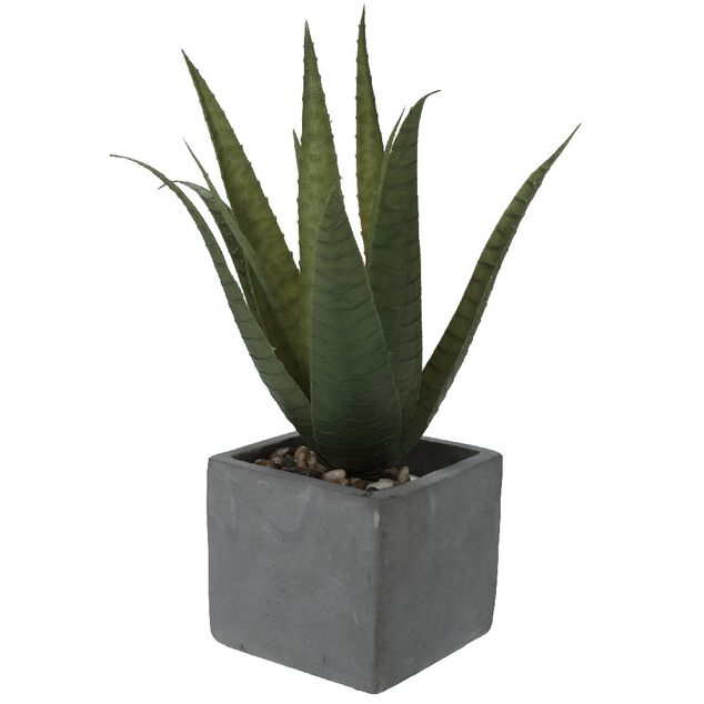 Plante artificielle alo&eacute; v&eacute;ra pot ciment collection Tropical