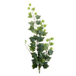 Chute lierre L68cm feuillage artificiel vert clair et foncé