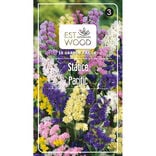 Semence graines de Statice Pacific multicolore 2 gr