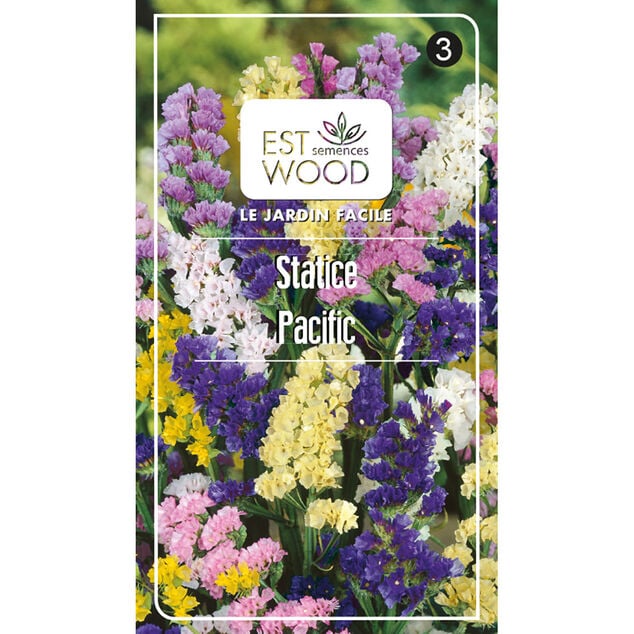 Semence graines de Statice Pacific multicolore 2 gr