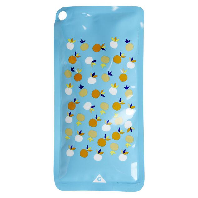 Accumuluteur de froid plastique L20cm